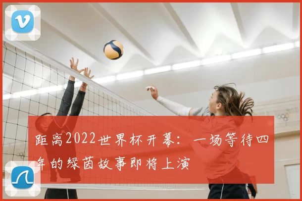距离2022世界杯开幕:一场等待四年的绿茵故事即将上演