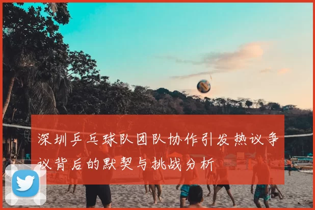 深圳乒乓球队团队协作引发热议争议背后的默契与挑战分析