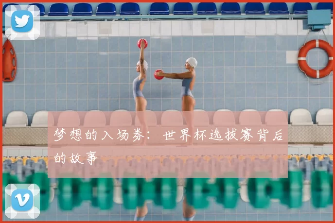 梦想的入场券:世界杯选拔赛背后的故事