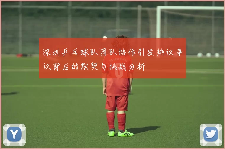 深圳乒乓球队团队协作引发热议争议背后的默契与挑战分析