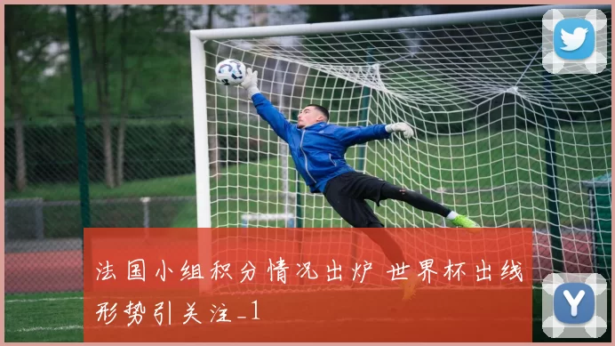 法国小组积分情况出炉 世界杯出线形势引关注_1