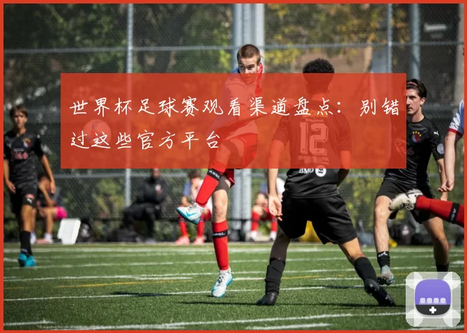 世界杯足球赛观看渠道盘点:别错过这些官方平台
