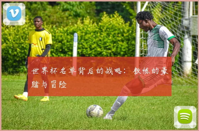 世界杯名单背后的战略：教练的豪赌与冒险