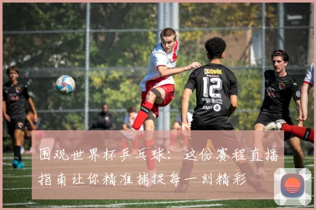 围观世界杯乒乓球:这份赛程直播指南让你精准捕捉每一刻精彩