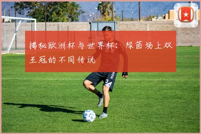 揭秘欧洲杯与世界杯:绿茵场上双王冠的不同传说