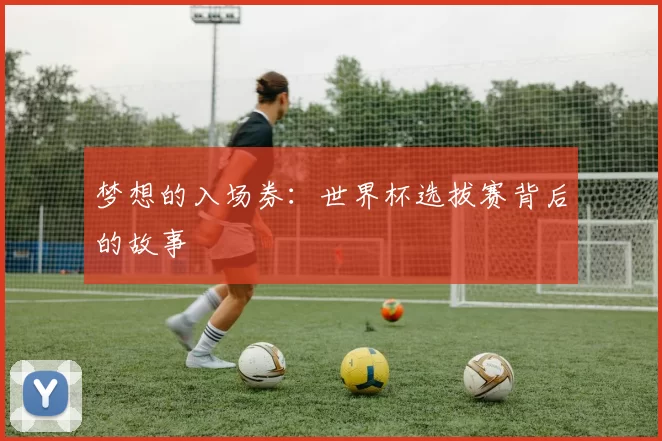 梦想的入场券:世界杯选拔赛背后的故事