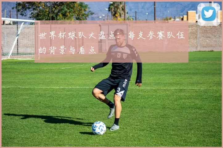 世界杯球队大盘点：每支参赛队伍的背景与看点