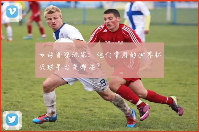 专访资深玩家：他们常用的世界杯买球平台是哪些？